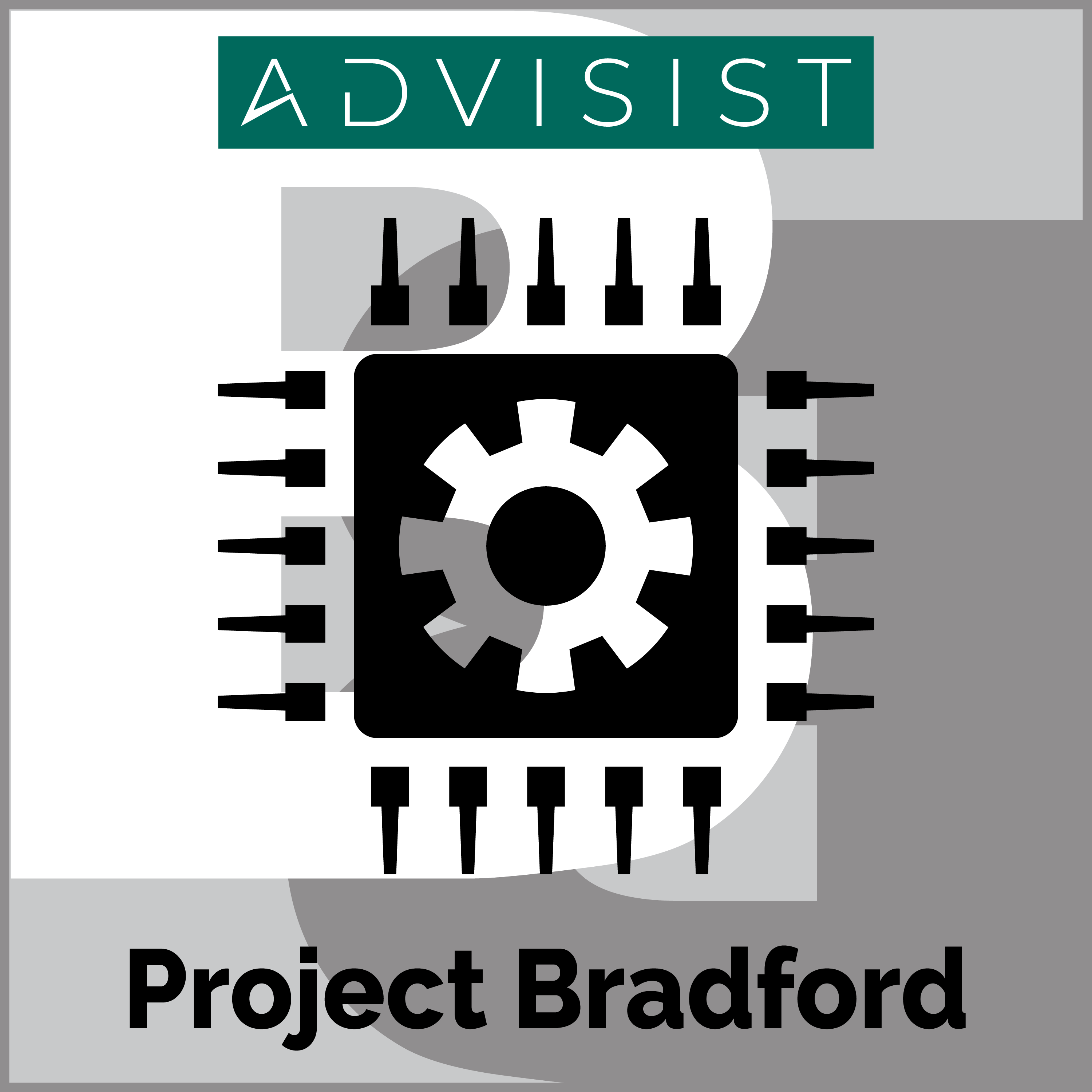 Project Bradford